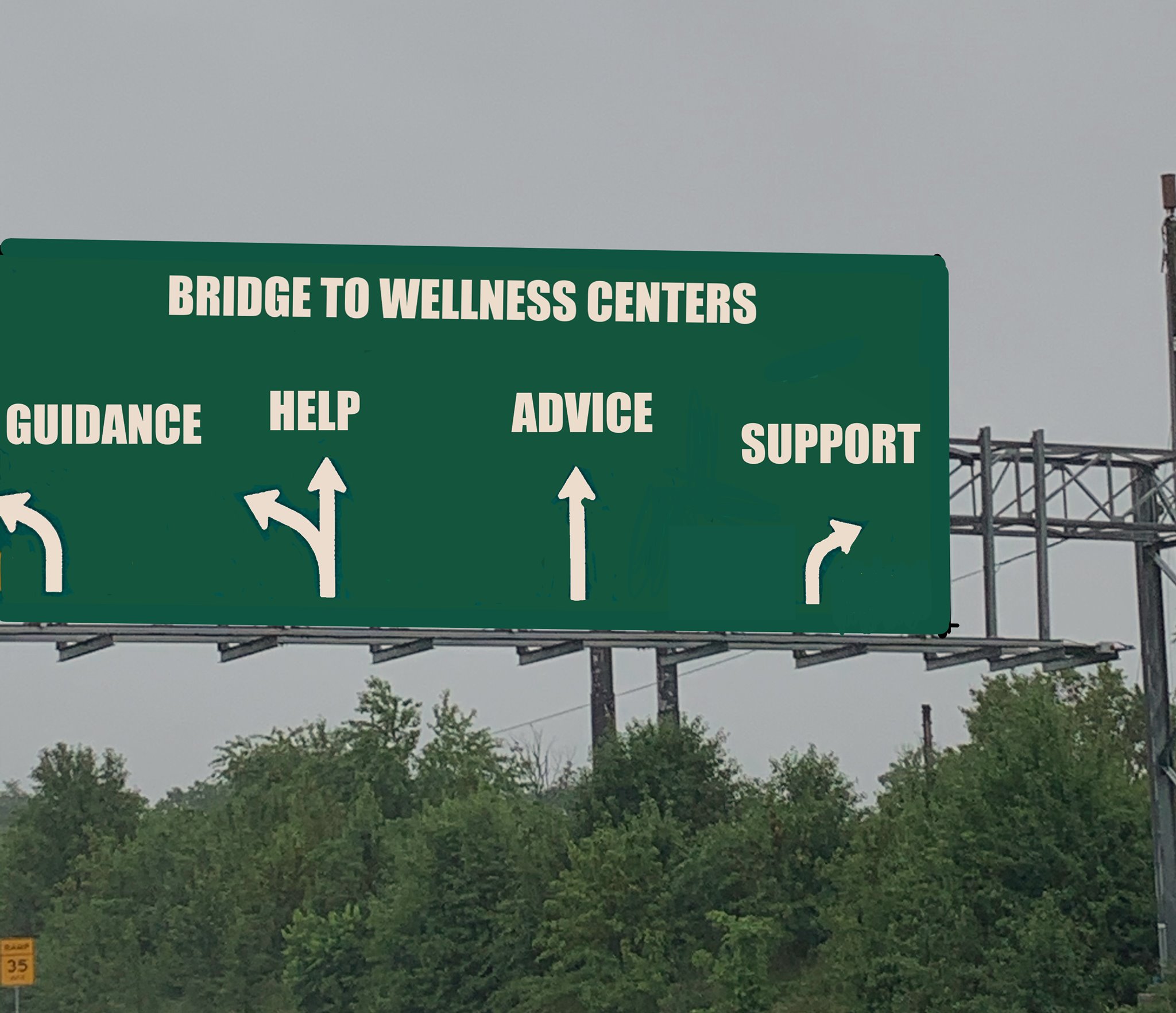Bridge to Wellness Centers, LLC | Vienna VA