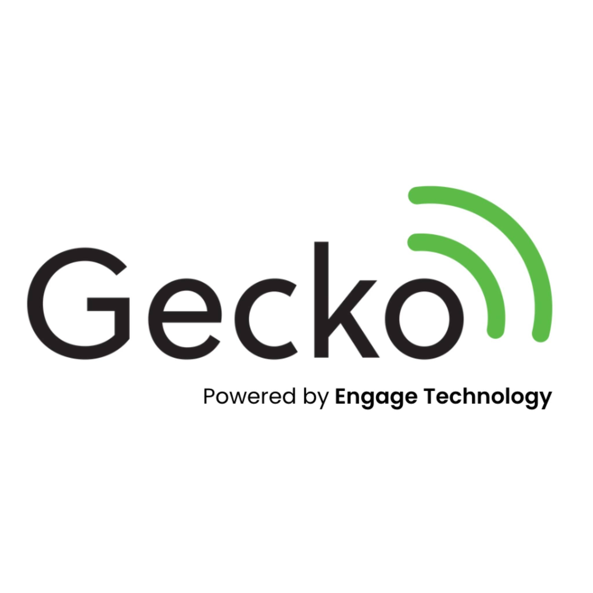 Gecko Internet | Onekawa