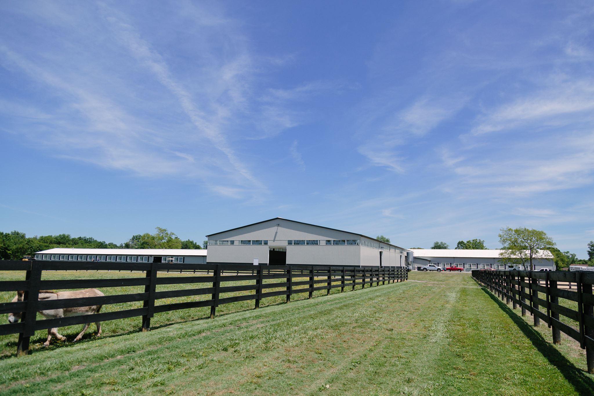 ThorSport Farms & Ranch | Murfreesboro TN