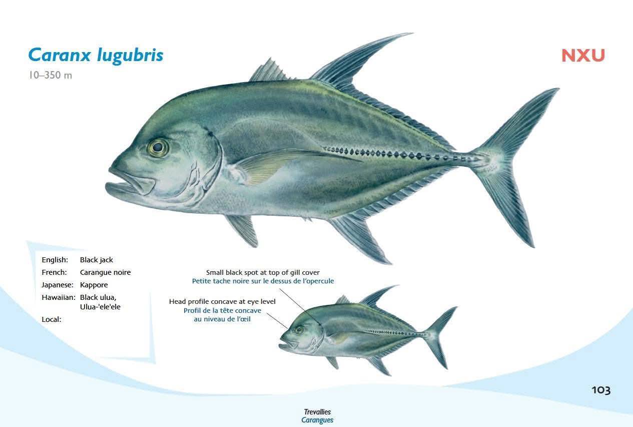FishingHariri - FishingHariri added a new photo.