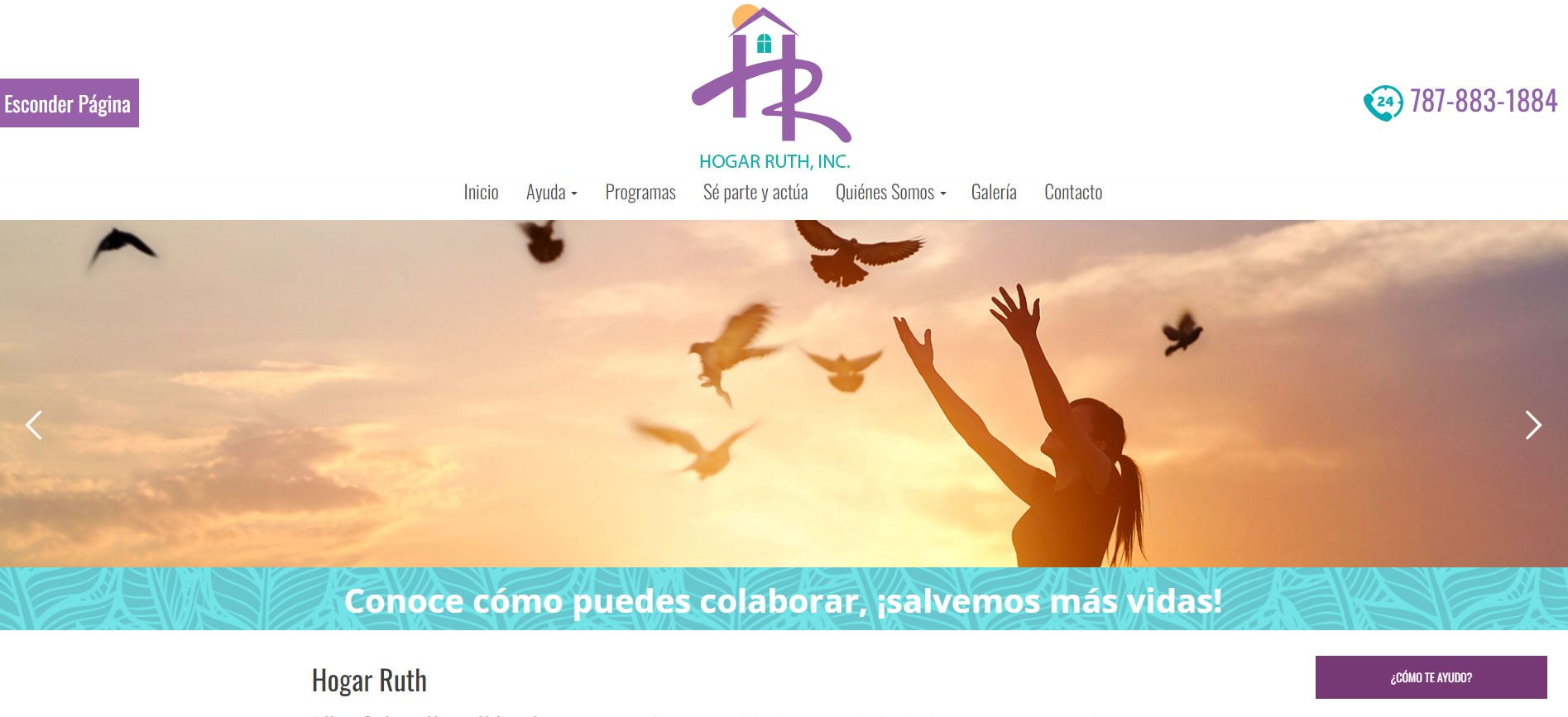 ¡Nueva herramienta!... - Fundación de Mujeres en Puerto Rico