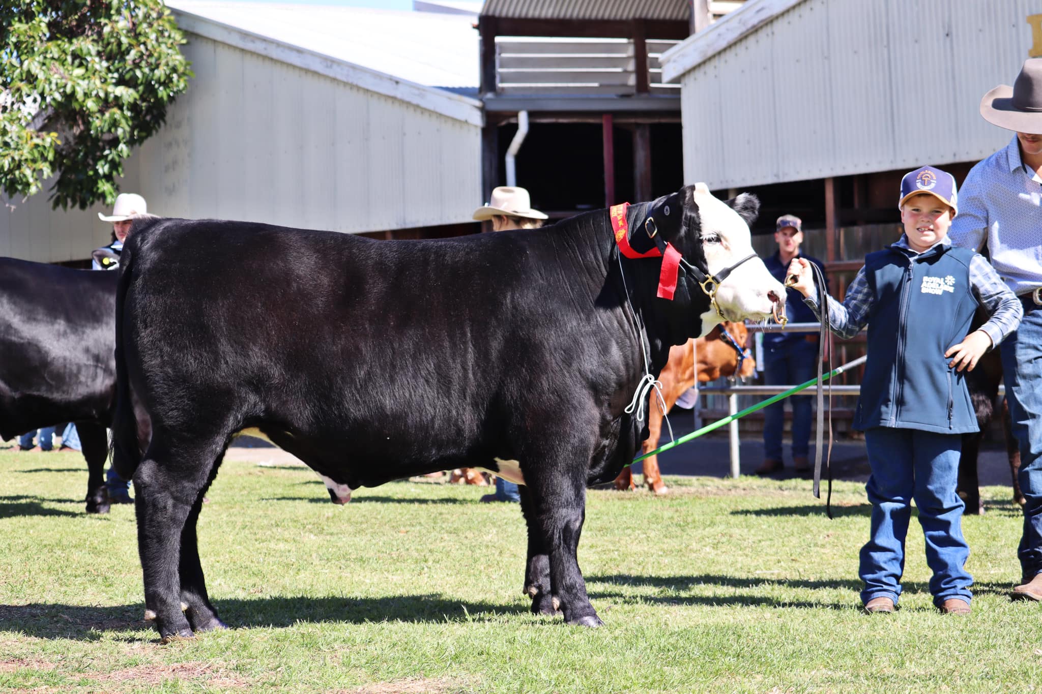 HB Rural Feedlot | Warnertown SA