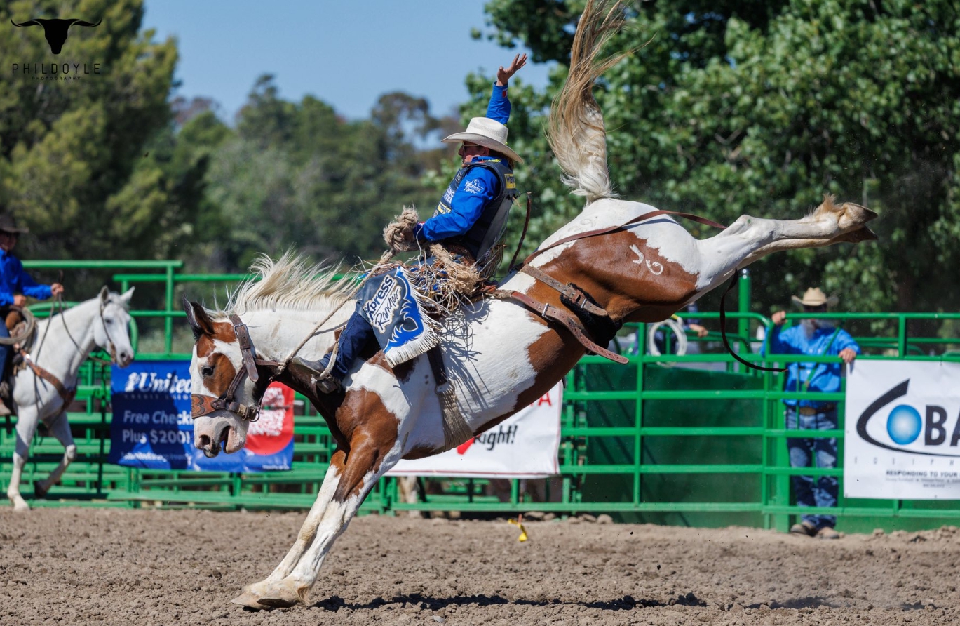Livermore Rodeo 2025 | Livermore CA