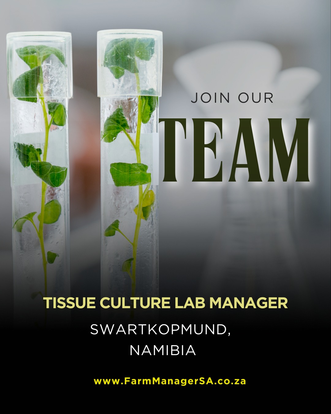 Farm - TISSUE CULTURE LAB MANAGER – FM2166 Swakopmund Area – Namibia ...