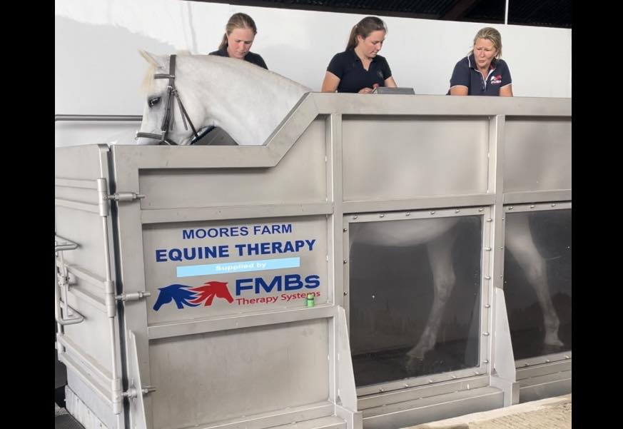 Moores Farm Equine Therapy | Gloucester