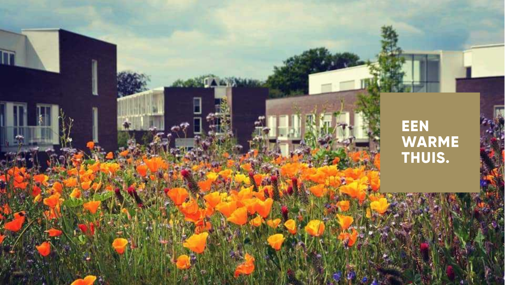 Orelia Koningshof - Schoten... - Orelia Koningshof - Schoten
