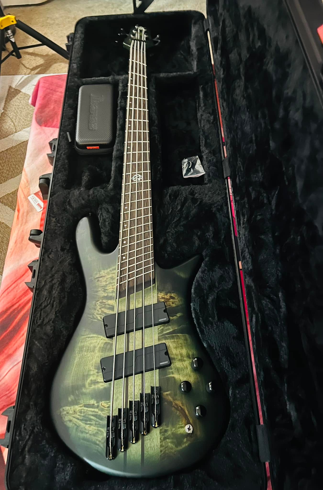 Spector case for NS Dimension multi-scale 5-string bass