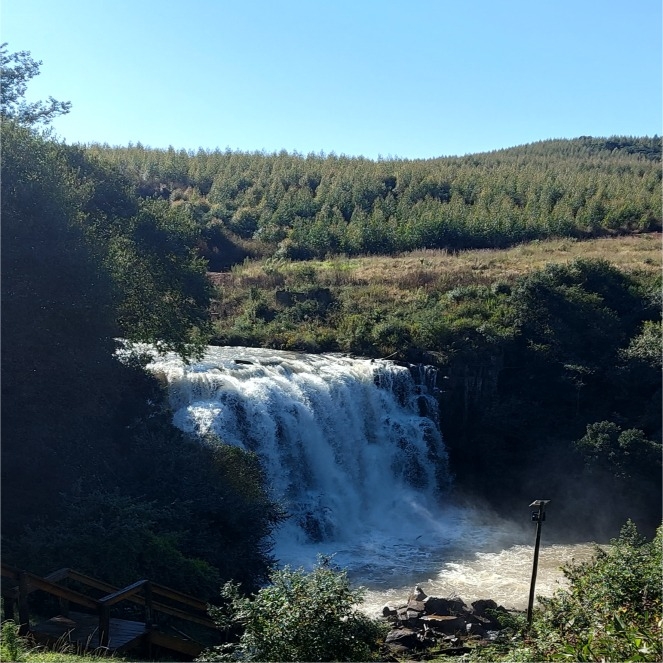 WATERFALL RANCH POP-UP MARKET IS BACK! Dargle, Midlands Meander KZN. # ...