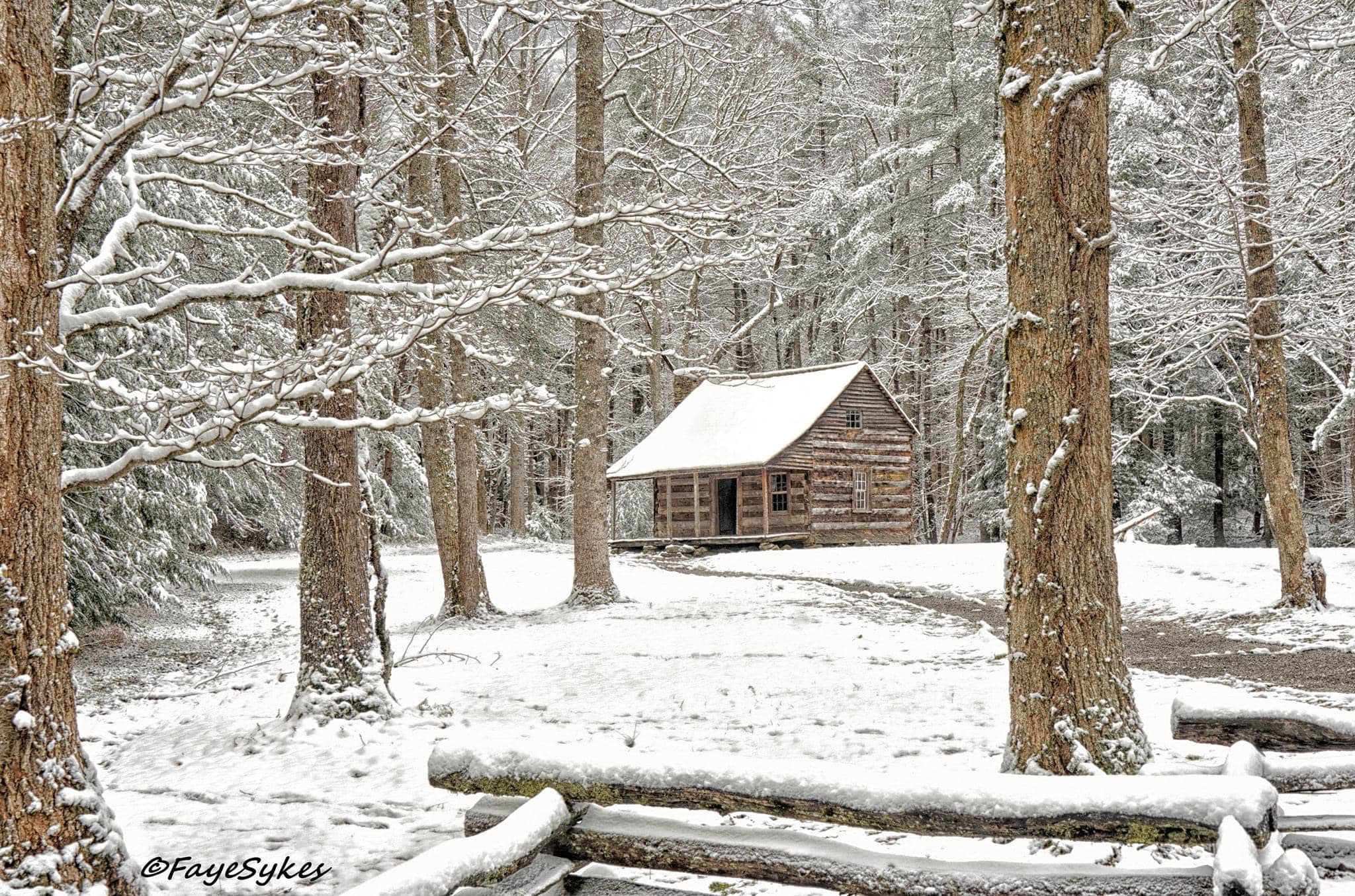 The Summit of Locust Ridge - Smokey Mountain Rental Cabins