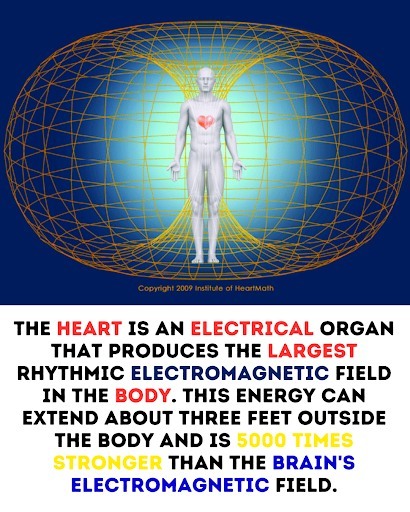 Fun Facts & the Weird, Strange World | The heart is not just a pump ...