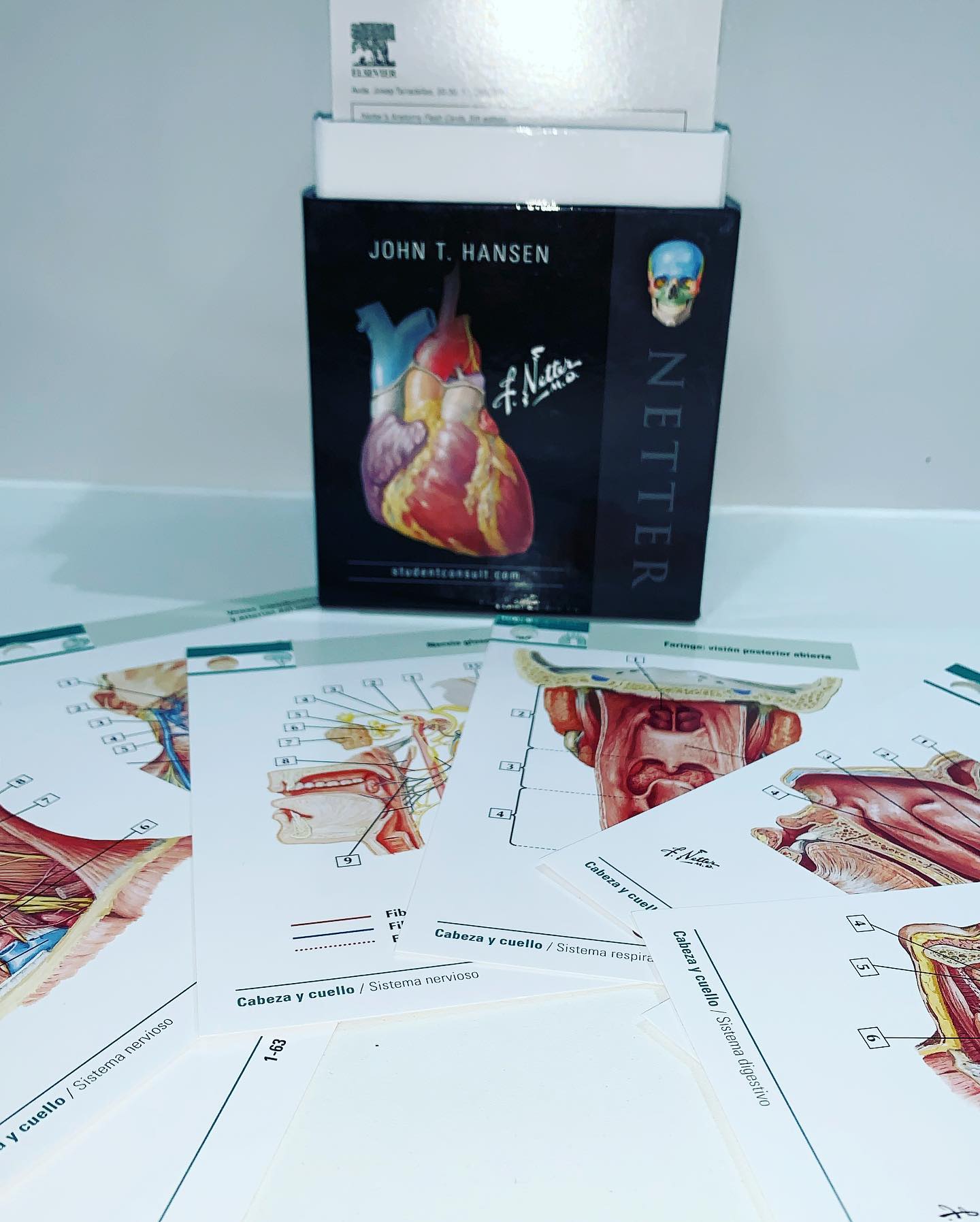 Med libros - ️ Flashcards de Anatomía 🤩 🧠 Incluye las...