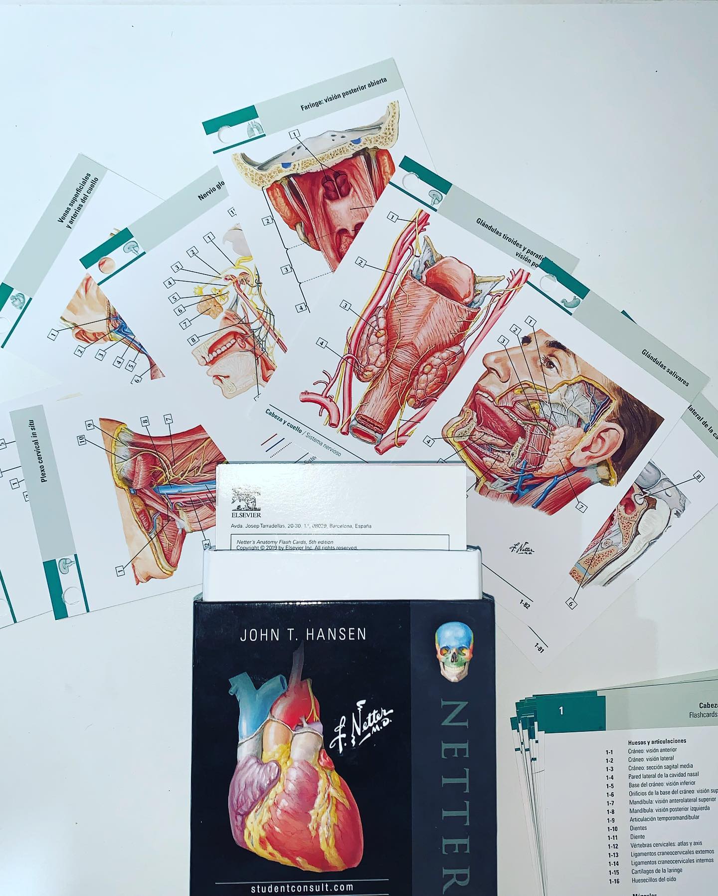 Med libros - ️ Flashcards de Anatomía 🤩 🧠 Incluye las...
