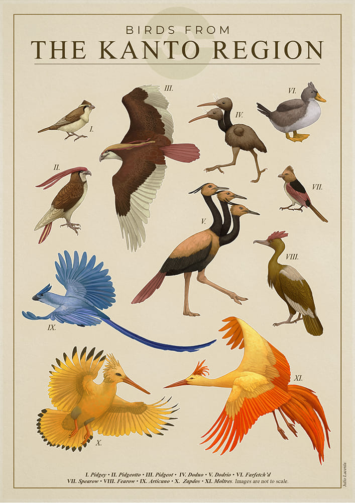 Birds of Kanto 🐦 artwork provided to us by the artist Julio