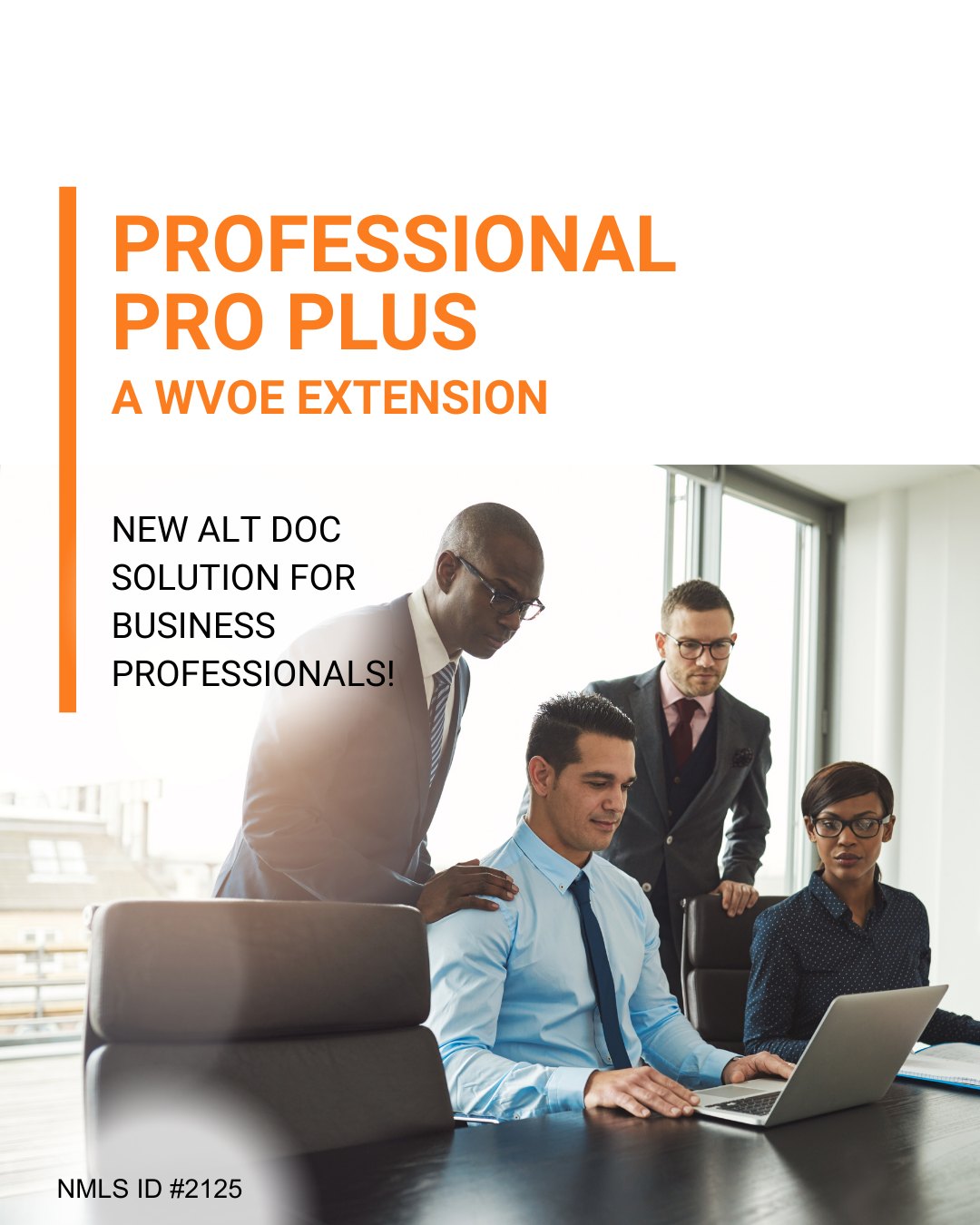 LendingPros - Say hello to the Professional Pro Plus - a WVOE extension ...