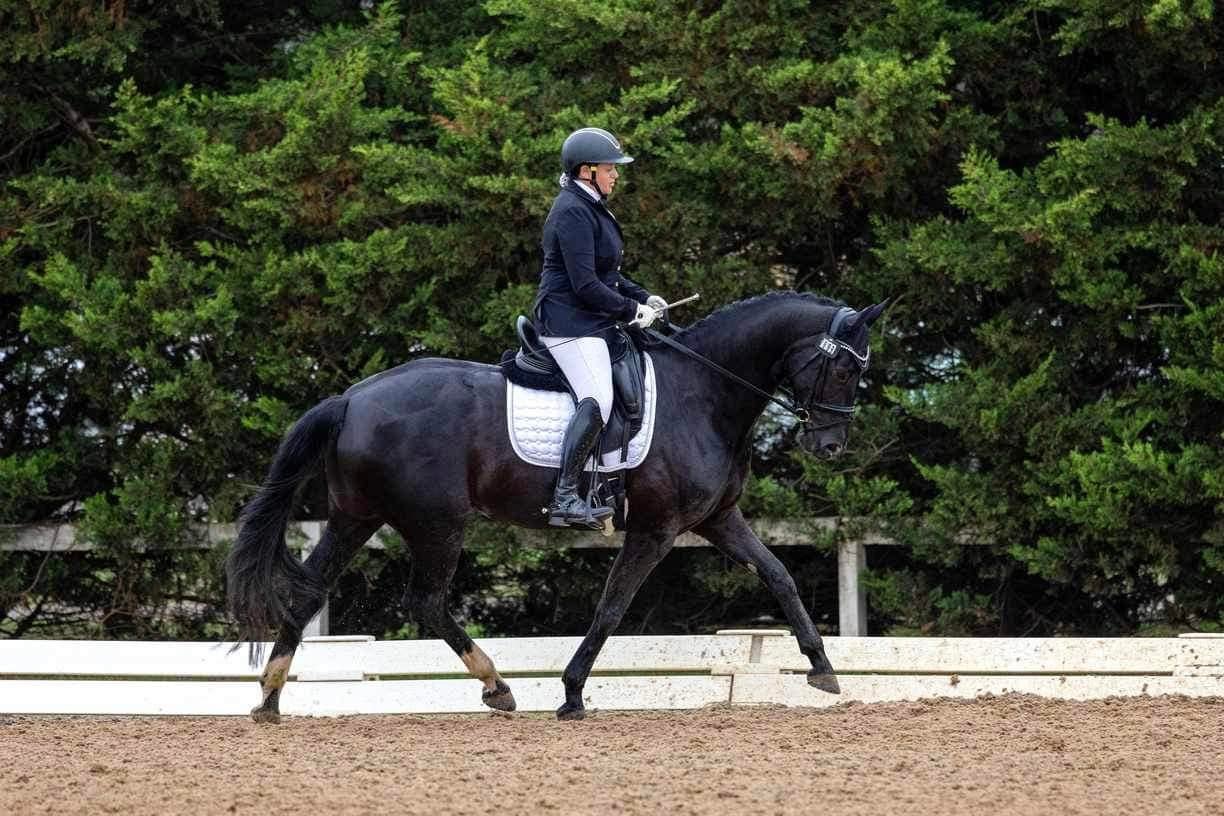 ⭐️SPOTLIGHT ON THE... - Victorian Amateur Owner Rider Group