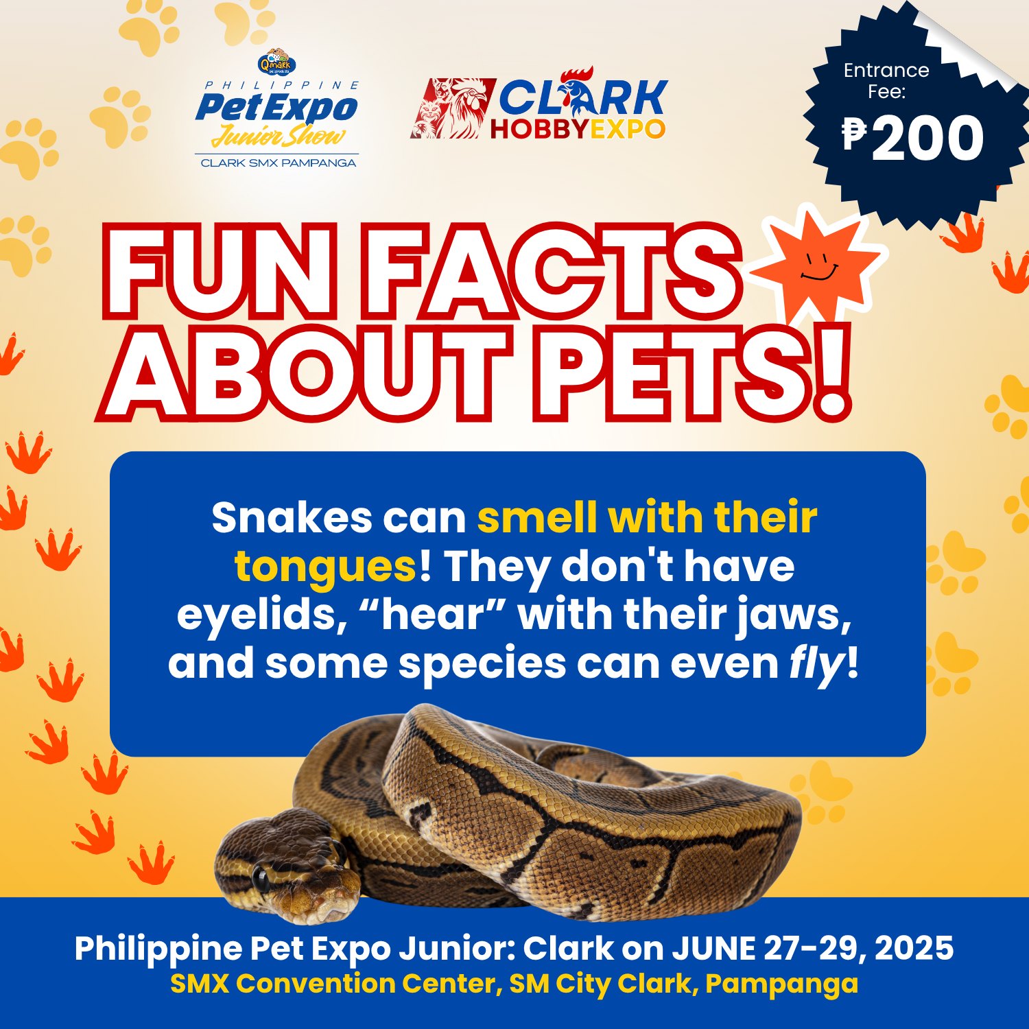 Philippine - DID YOU KNOW that there are a lot of interesting facts ...