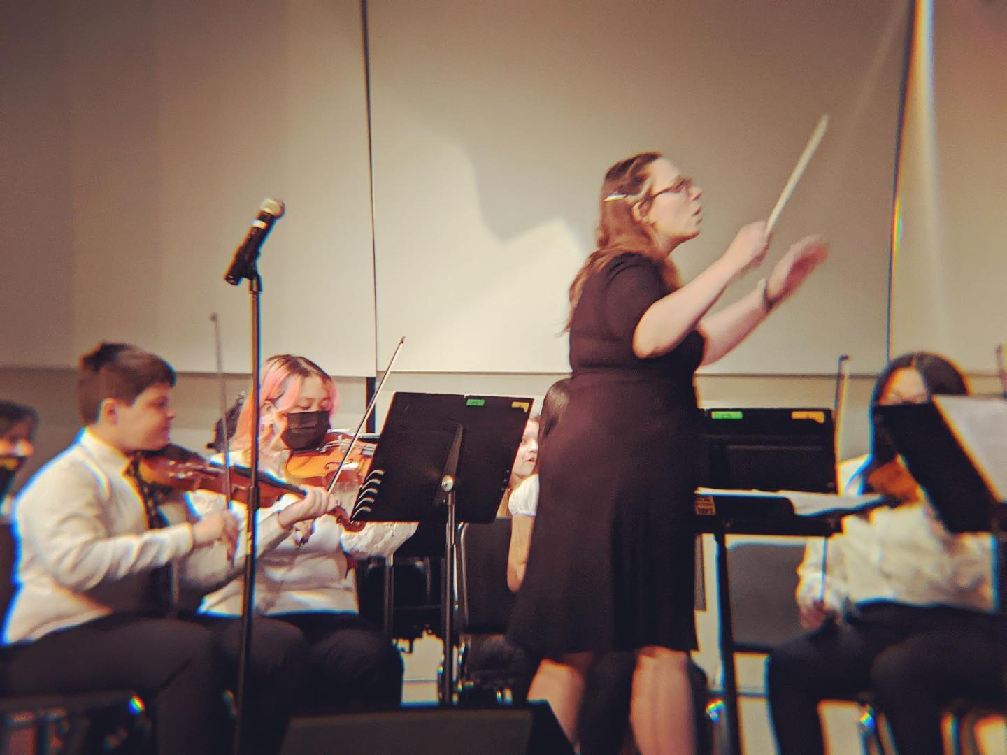 Elizabeth's String Studio | DeKalb IL