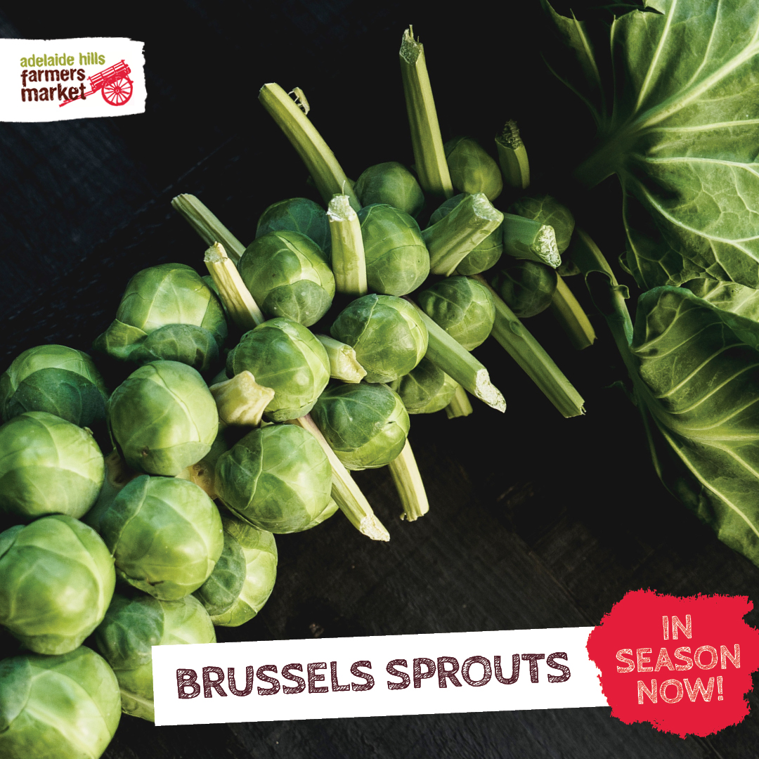 Adelaide - We're excited to announce that the lovely locally grown ...