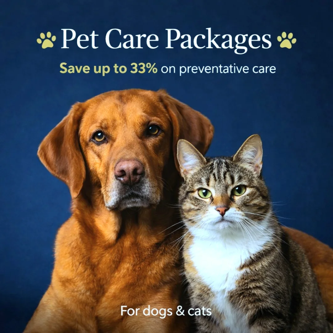 Horse - 🐾 Pet Care Packages That Save You Money 🐾 Preventative care ...