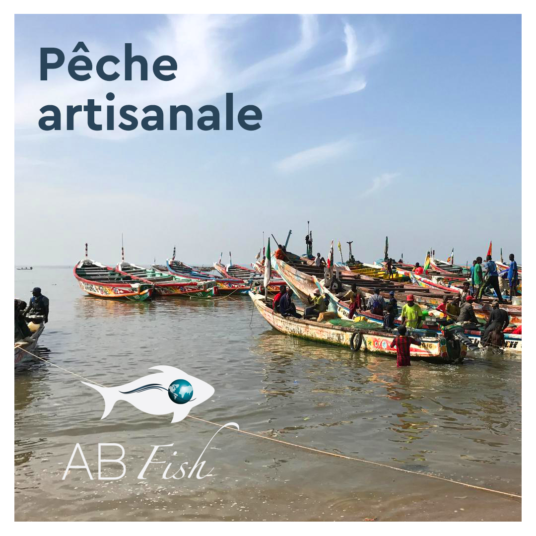 AB FISH | Chevilly-Larue