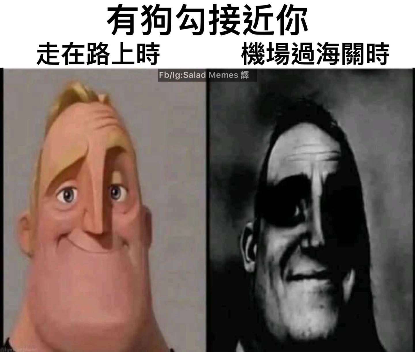 Salad Memes 2.0 - 時間點很重要😅 #迷因 #梗圖 #好笑 #搞笑 #爆笑 #笑死 #😂 #😂😂... | Facebook