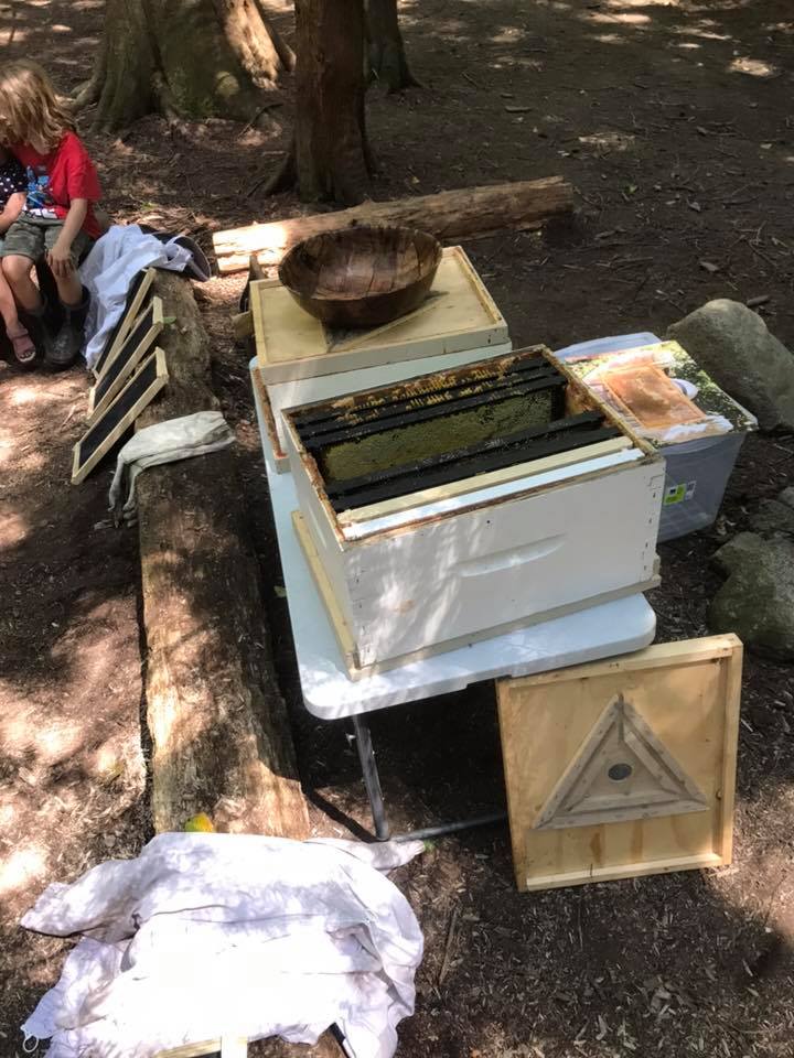 🐝 🐝 oh my gosh! What a treat... - KIN Outdoor Learning Centre
