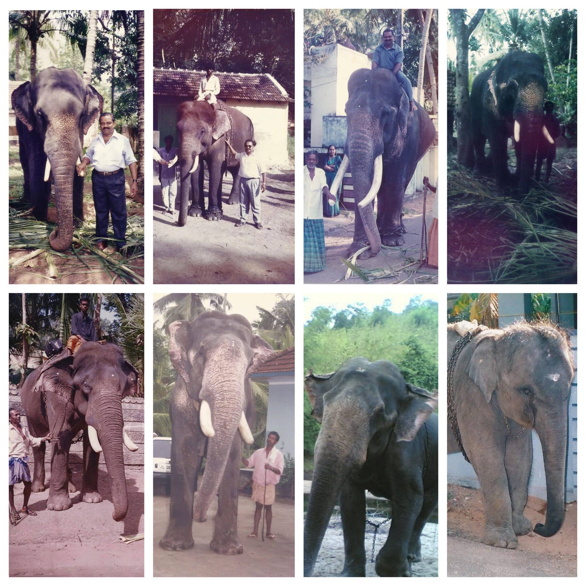 Safari - Ramakkalmedu | Facebook