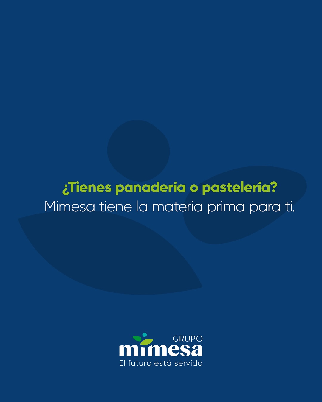 Grupo Mimesa