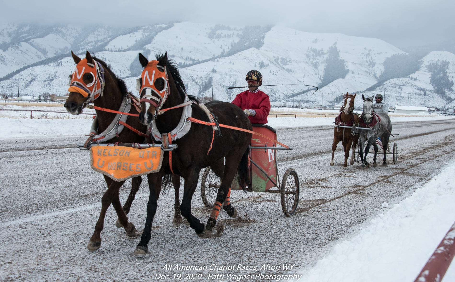 Our first... - All American Cutter/Chariot Races - Afton, WY | Facebook