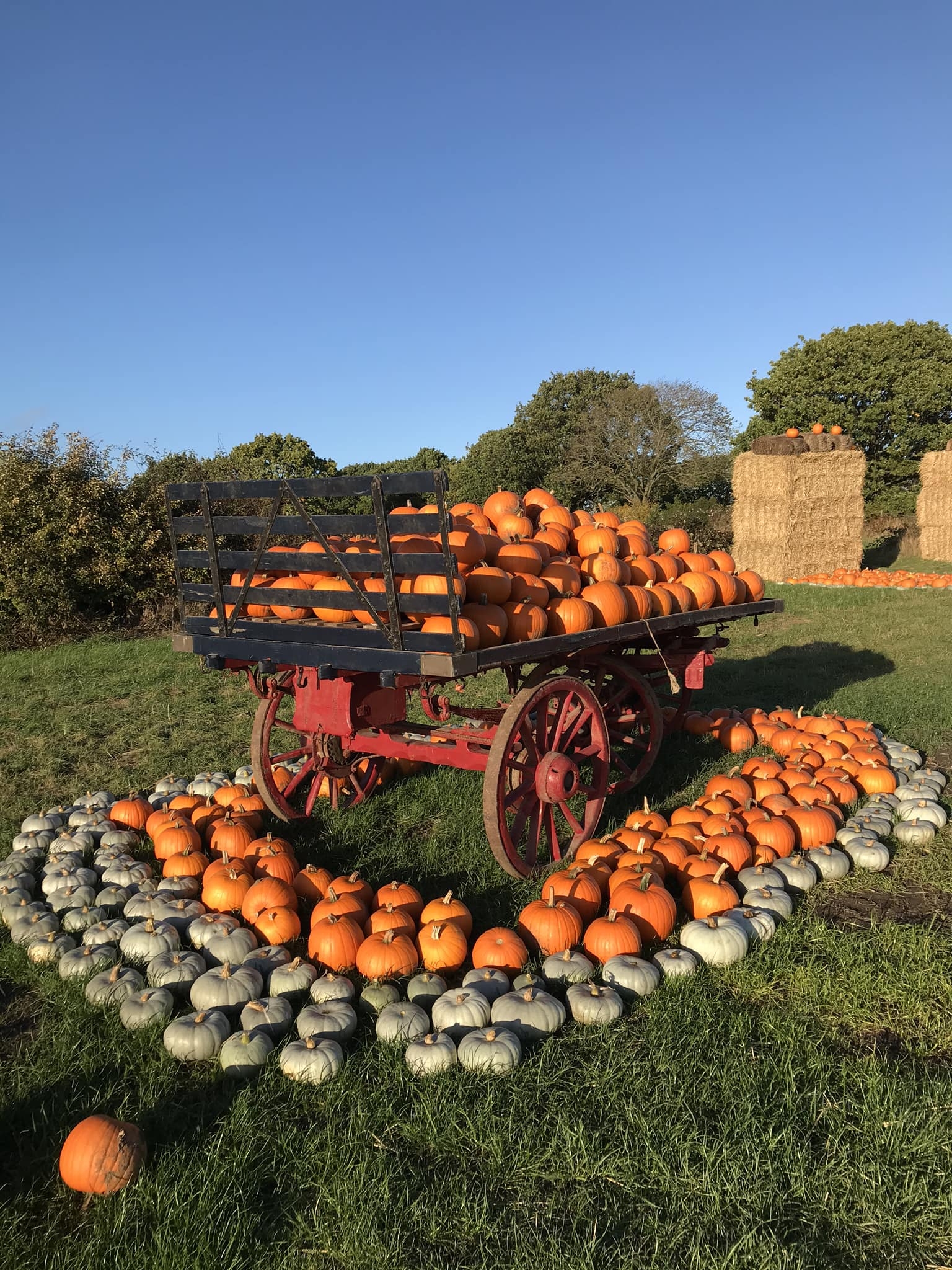 horsforth-pick-your-own-horsforth