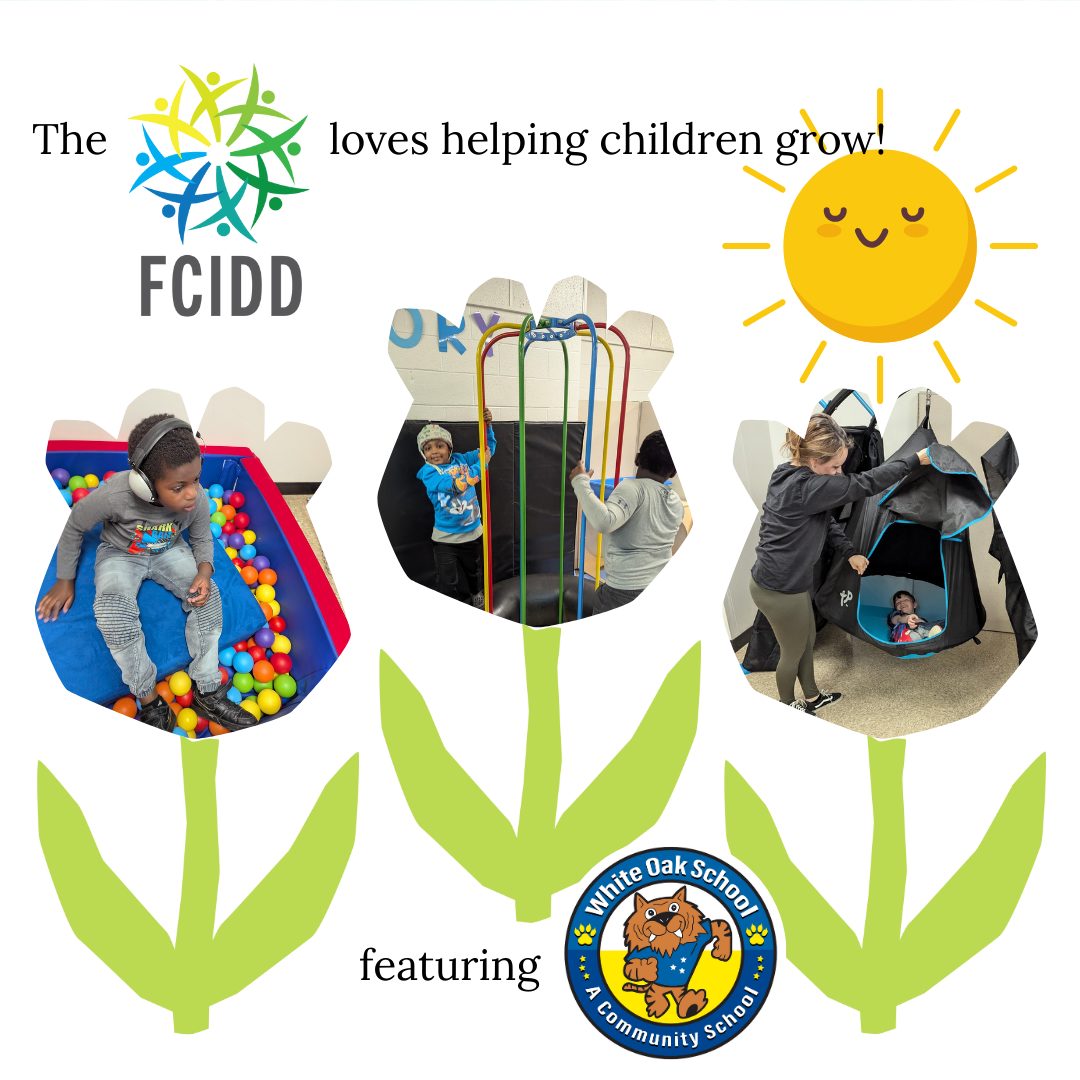 Foundation for Children with Intellectual and Developmental ...