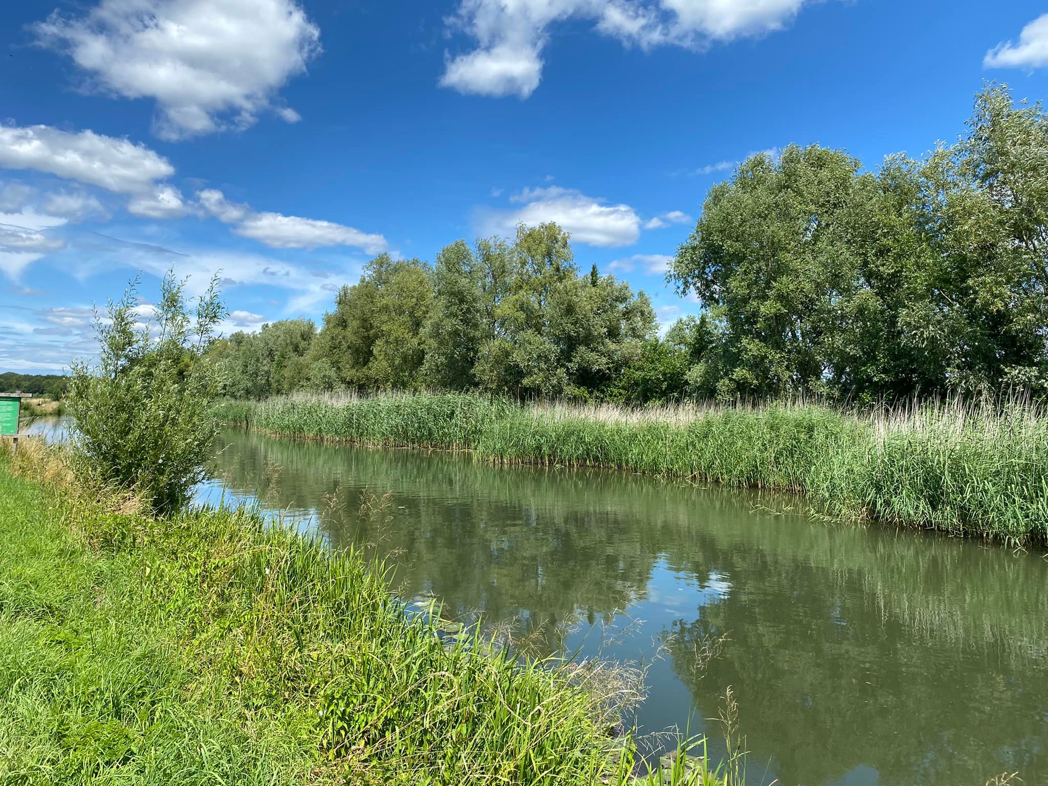 De loop van de Rijn, daar hoort de... - One Day Walks BV
