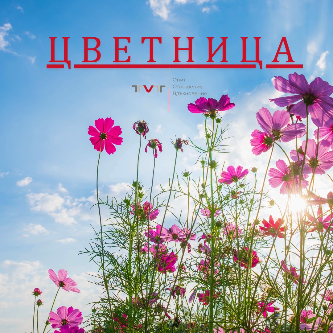 What Does The Abbreviation Cpr Stand For