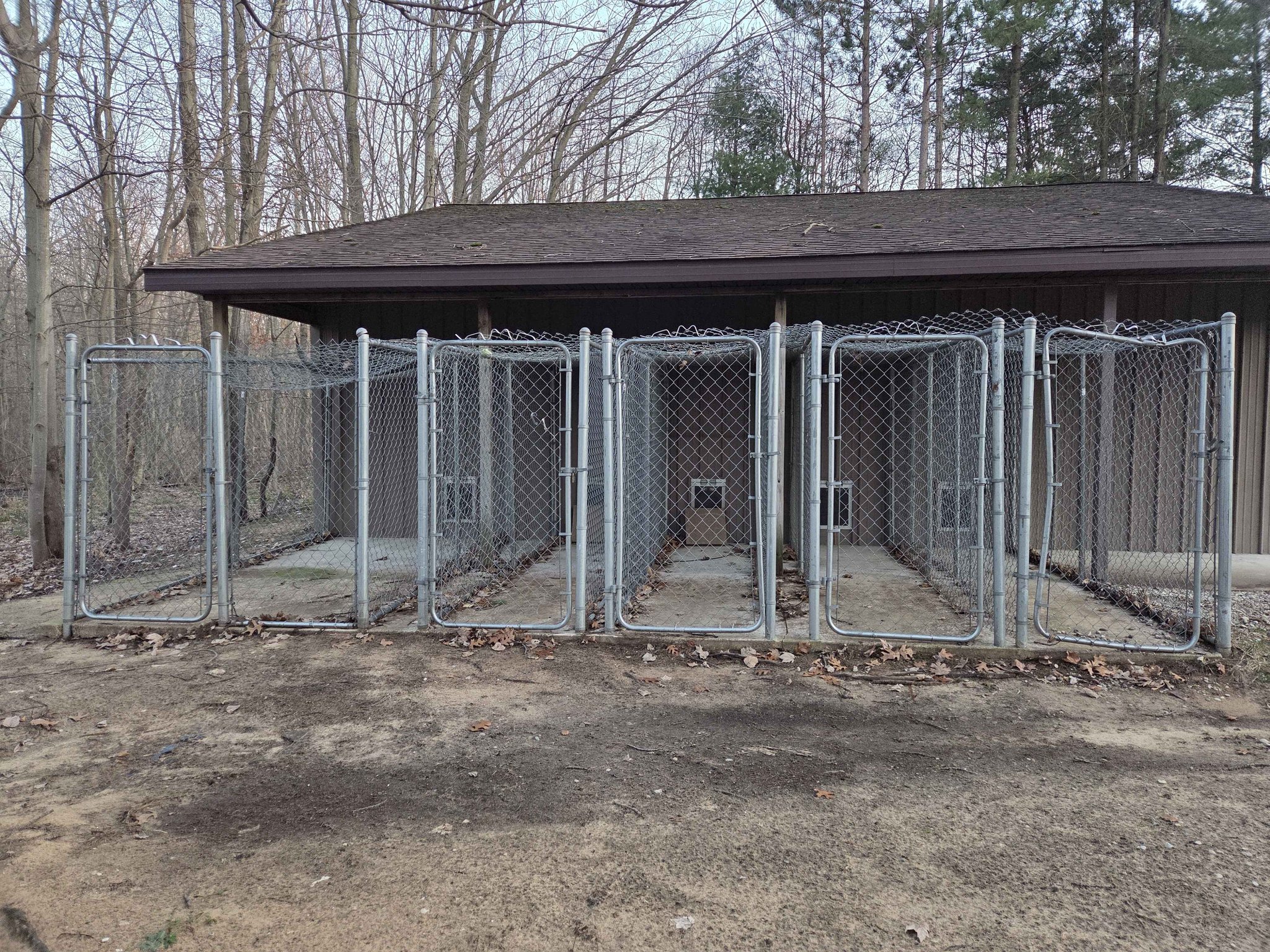 Commercial Heavy-Duty Dog Kennel Runs – 5 Runs / 10 Gates / Dog Doors