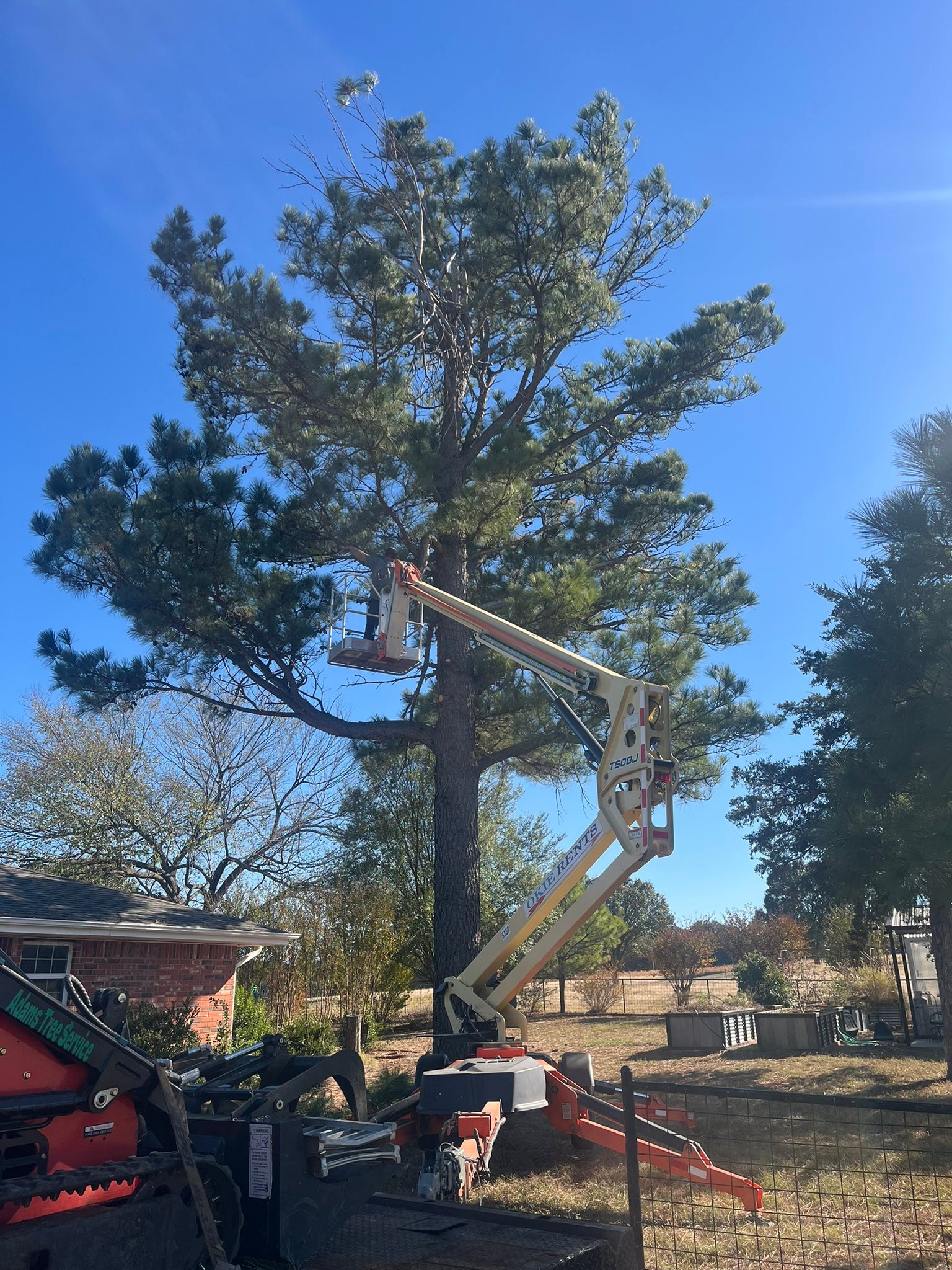 Adams Tree Service LLC | Noble OK