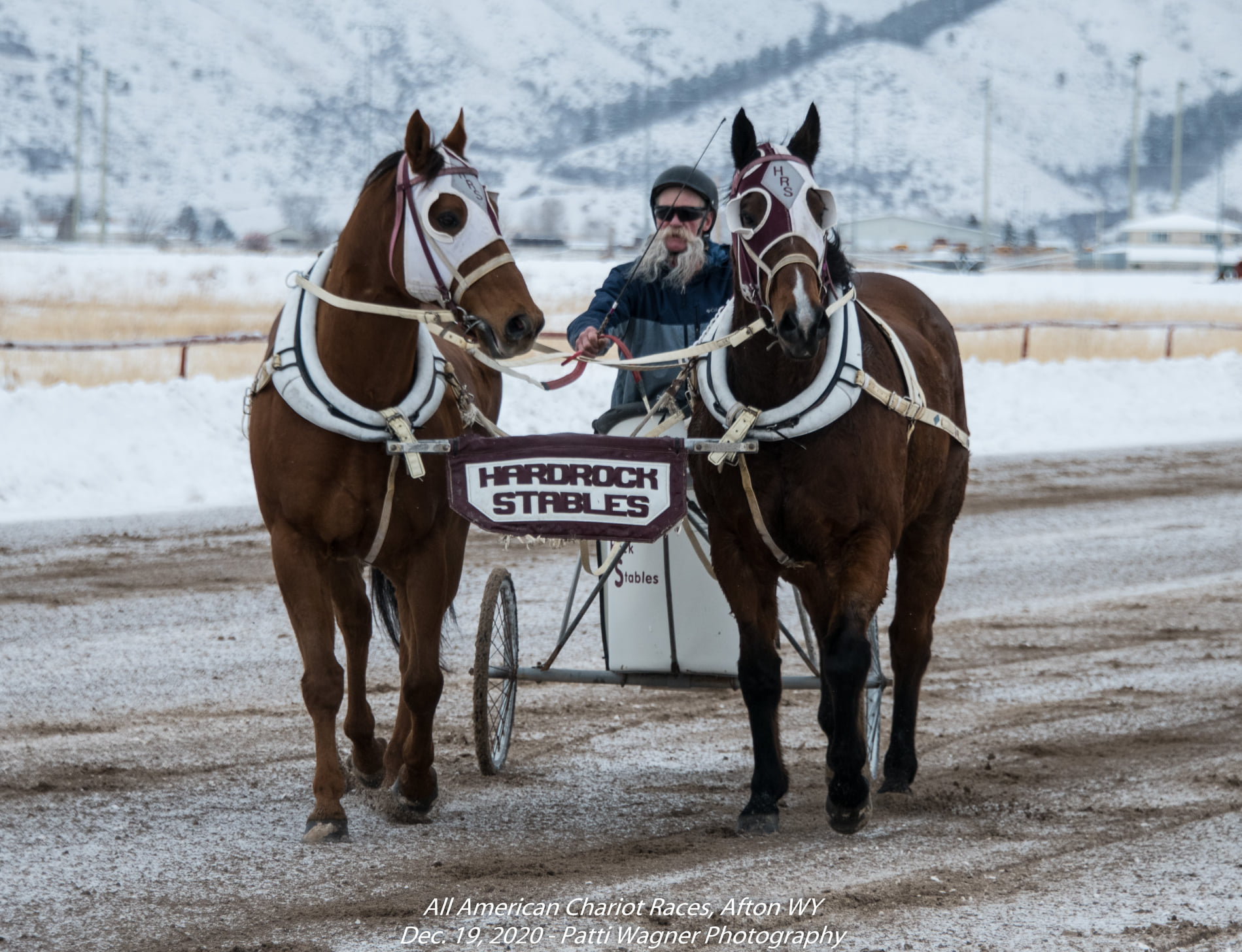 Our second... - All American Cutter/Chariot Races - Afton, WY | Facebook