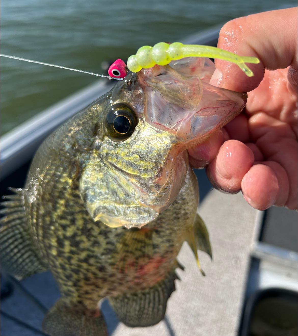 captain redbeard fishing lures Mr. Chrome Trolling Spoon - Magnum no matter the species you’re after. The Best 15 Lures for
