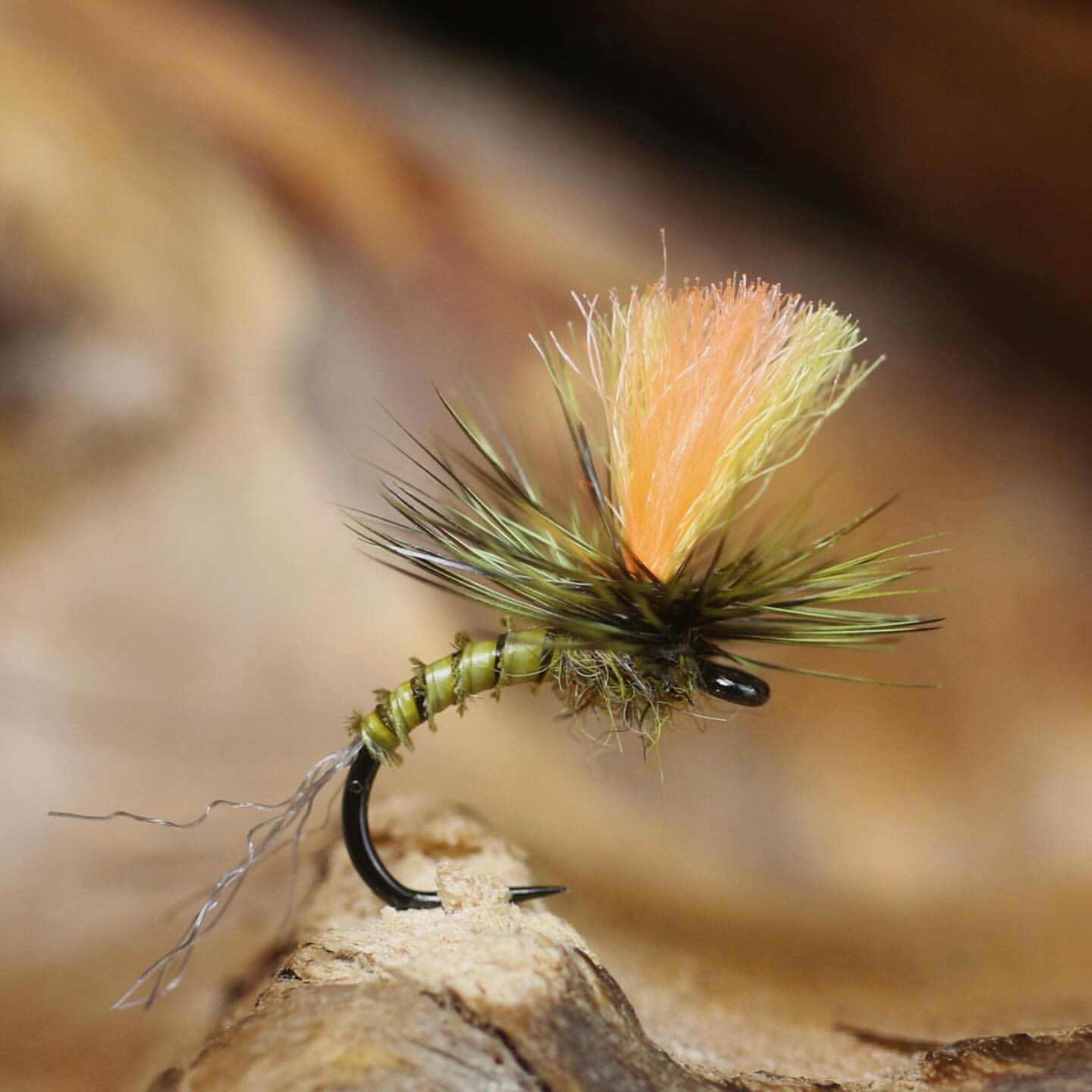 Fly - Fall colors, on a tiny dry. Might not be proper, but the current ...