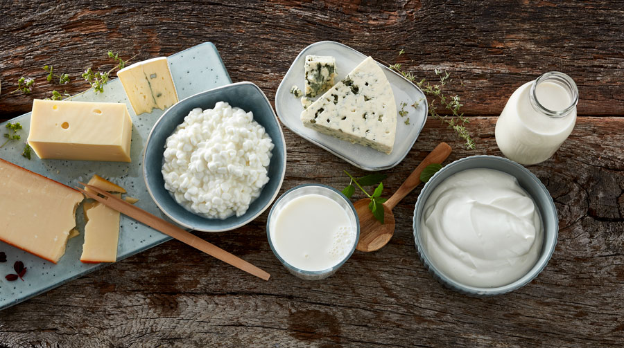 Ost & ko - Kan du tale ost? 🧀 Hvordan smager ost egentligt, og hvilke ...