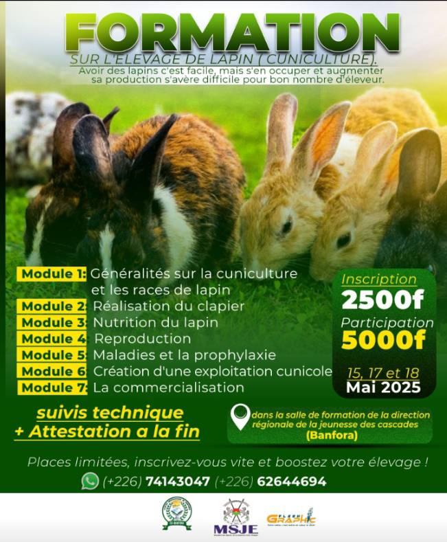 formation-en-cuniculture