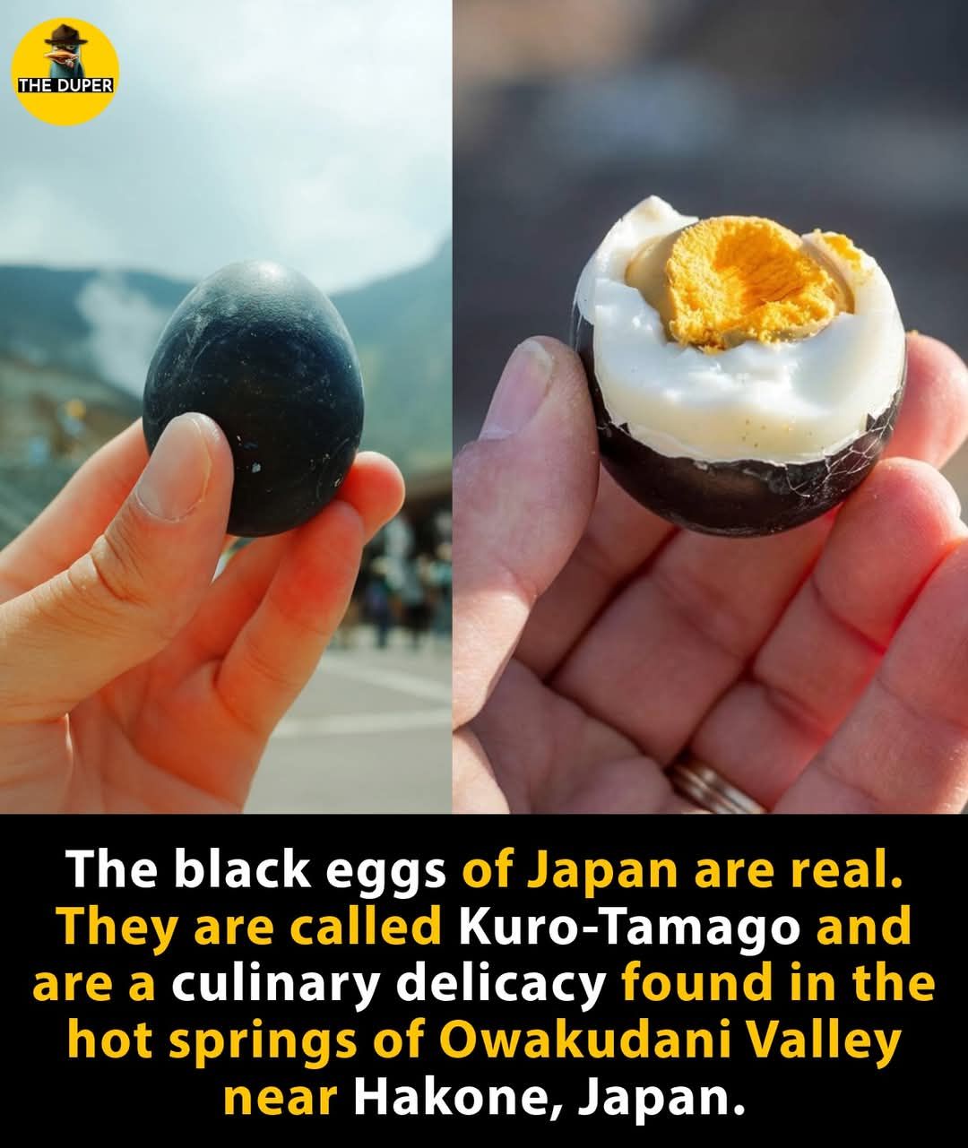 Kuro-tamago - an egg boiled in a hot spring in a valley with