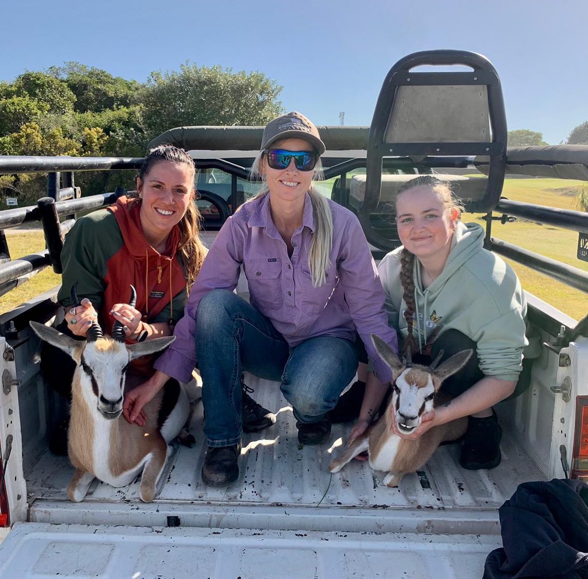 😎 Springbok capture and relocation... - Global Vet Experience