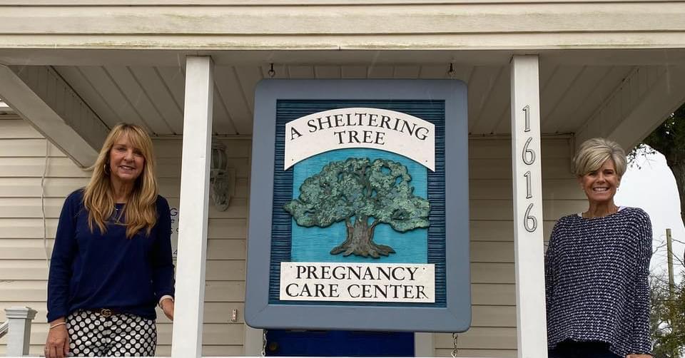 A Sheltering Tree | Panama City FL