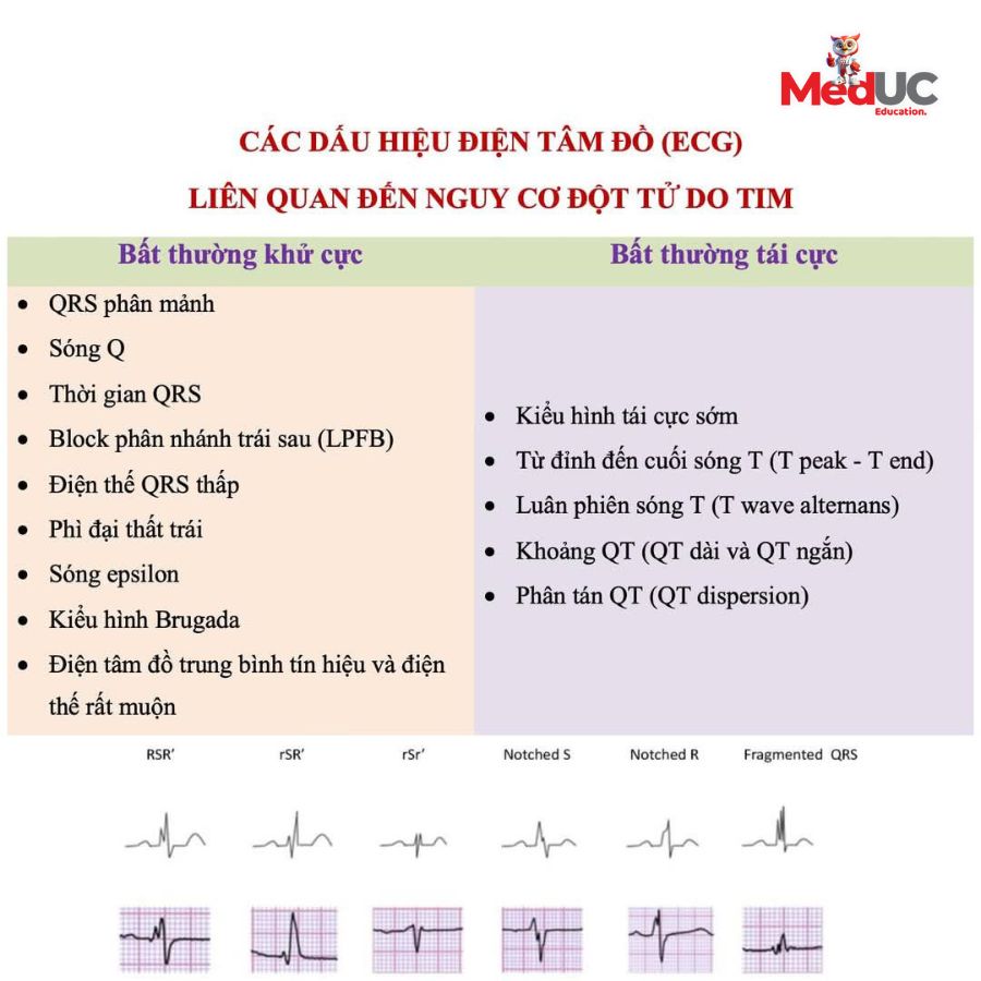 Trung - 🌻TẦM QUAN TRỌNG CỦA ĐIỆN TÂM ĐỒ 12 CHUYỂN ĐẠO TRONG DỰ ĐOÁN ...
