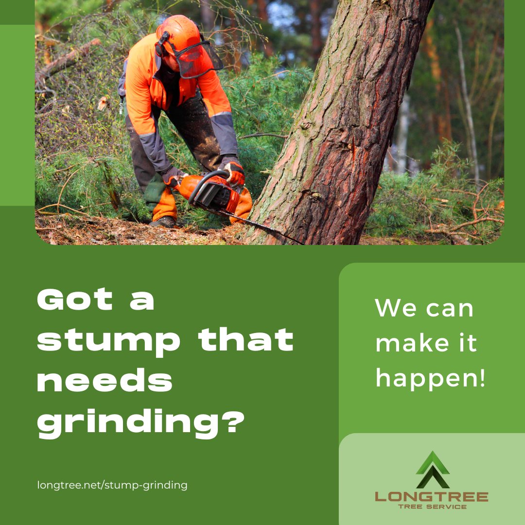 Longtree Tree Service | Southfield MI