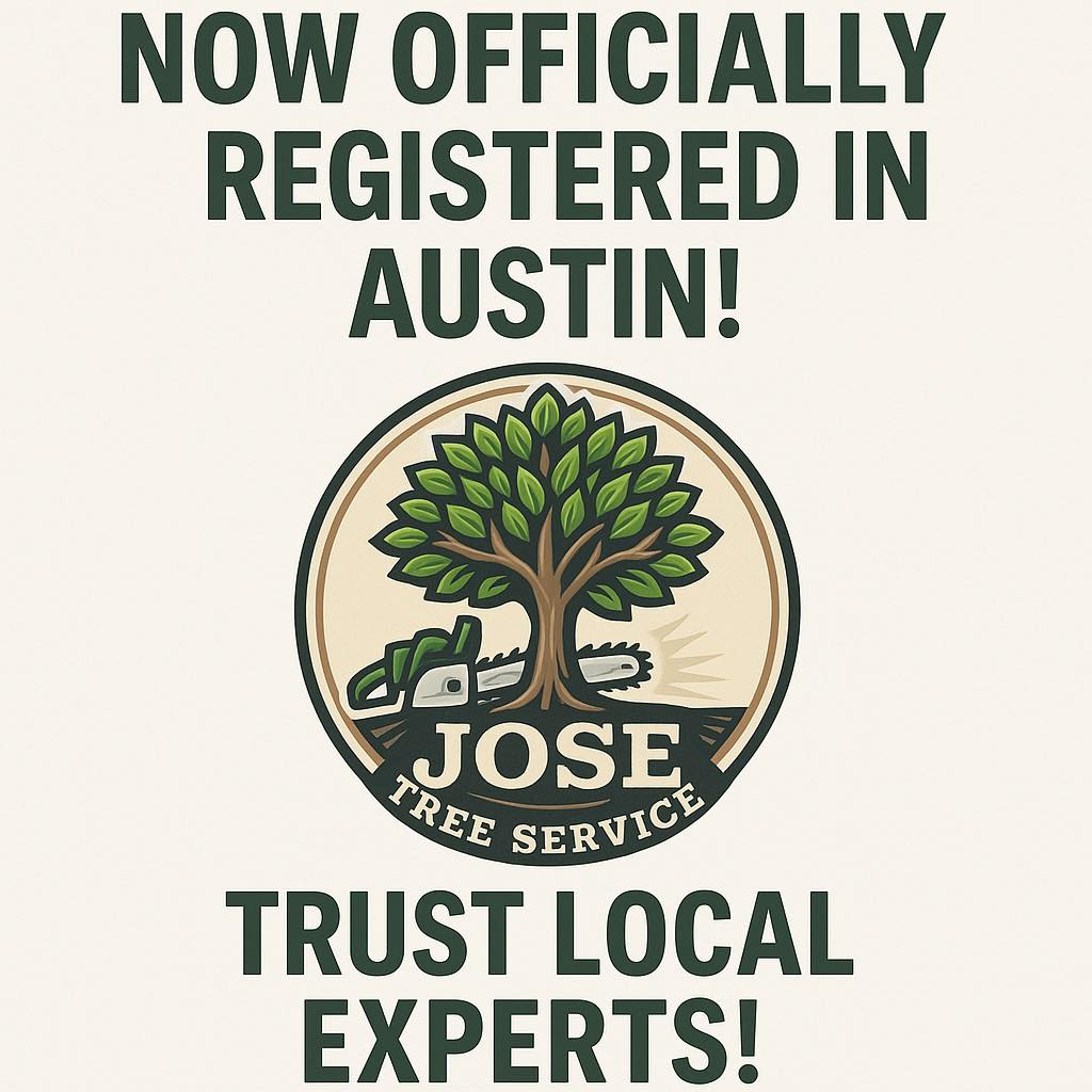 JDM tree care | Austin TX