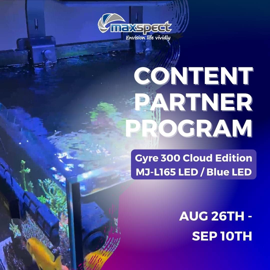 In celebration of the release of the MJ-L165 Blue Edition LED, we