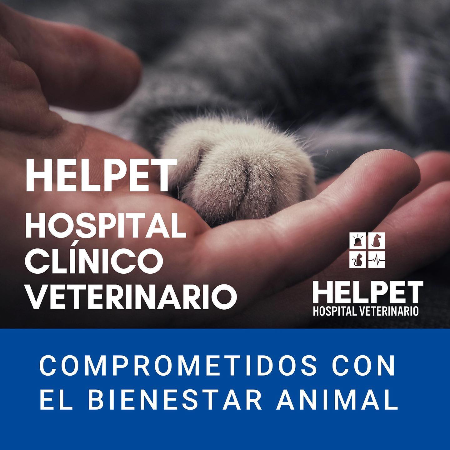 Amigas y amigos: estos son... - Helpet Hospital Veterinario | Facebook