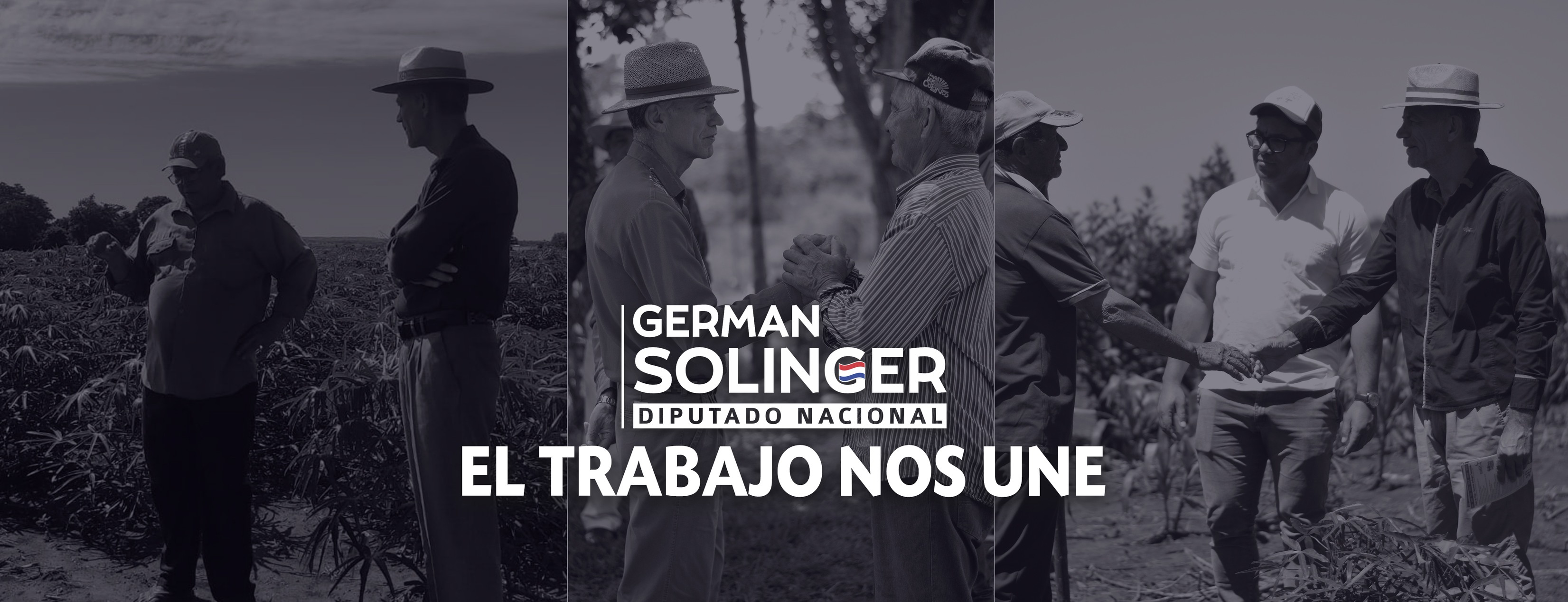 German Solinger - Diputado Nacional