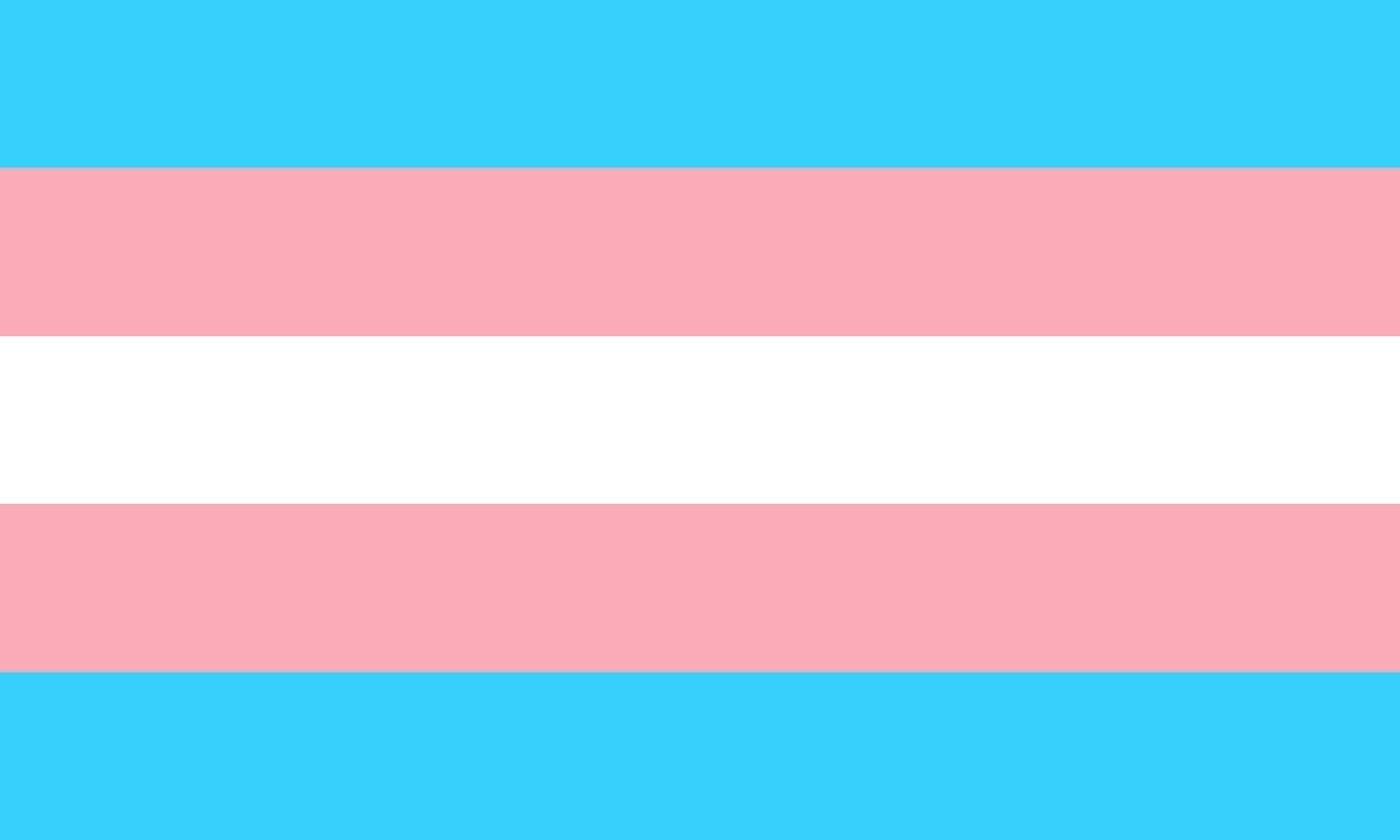 Trans Spectrum of Arizona - TSAZ | Phoenix AZ